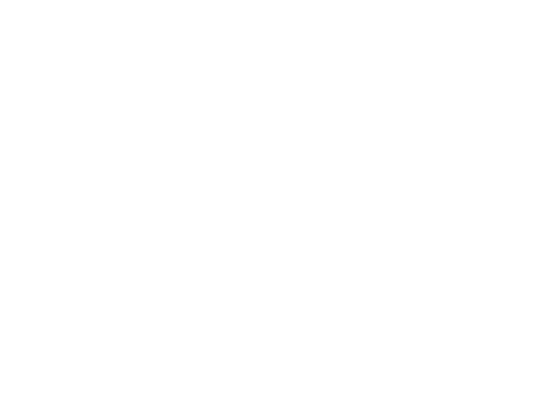 Metsi Logo